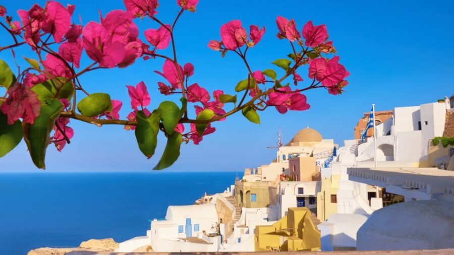 Santorini : Private Half Day - Best of & Wine Tasting Tour - Art Space Winery Museum Art Gallery: wine tasting with volcanic soil