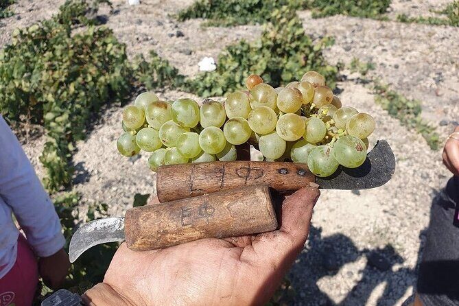 Santorini Private Highlights Tour & Wine Tasting with local guide - Pyrgos Village: Narrow Lanes and Venetian Castle Ruins