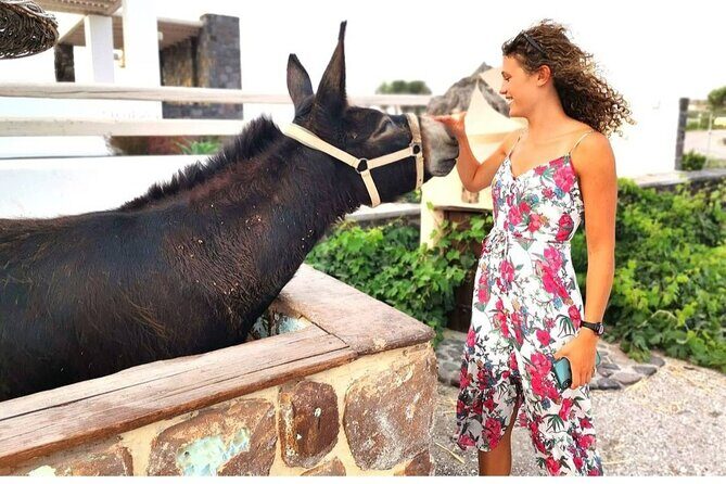 Santorini Private Tour 5hours Wine and local product tasting - Price and what you’re really paying for at $204.70