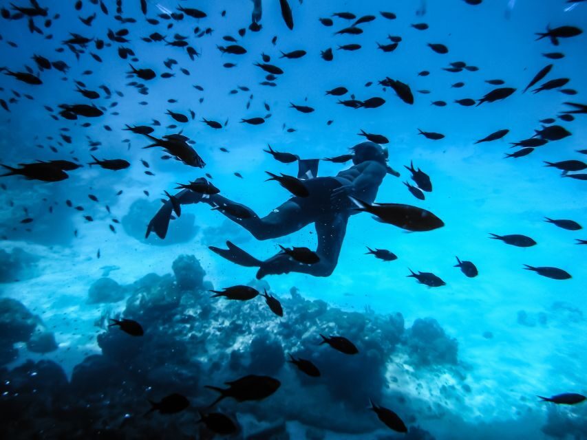 Santorini: Scuba Diving Experience for Beginners - Your first underwater skills practice: slow, controlled, and adjustable