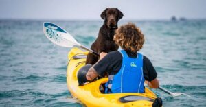 Santorini: Sea Caves Kayak Trip with Snorkeling and Picnic - Getting there without stress: pickup, small group energy, and gear that actually helps