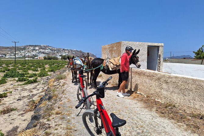 Santorini Small Group Guided E-bike Tour & Local Tomato Museum - Emporio’s Castelli gives you medieval vibes without the full detour