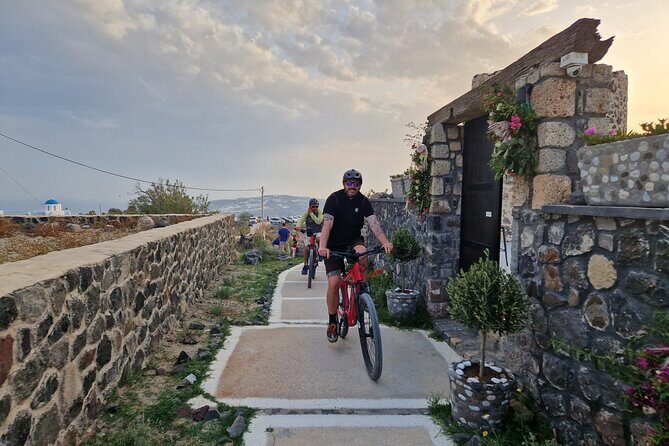 Santorini Small Group Guided E-bike Tour & Local Tomato Museum - Vineyards grown low and practical, plus how the roads shape your perspective