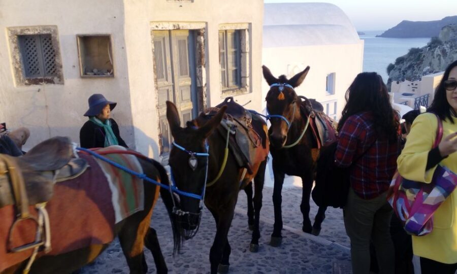 Santorini: Small-Group Highlights Tour of Venetian Castles - Emporio: Venetian streets, a best-preserved castle, and wine in an old winery