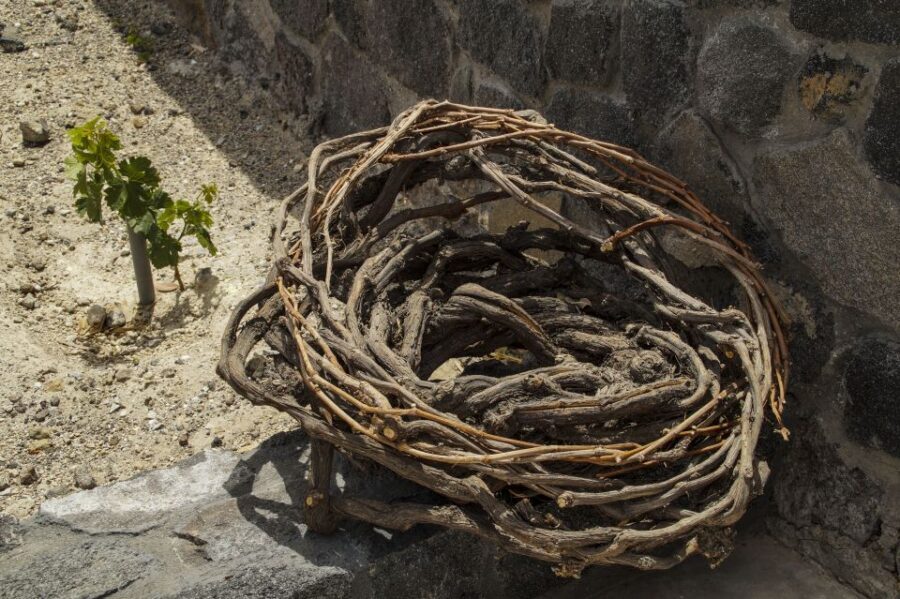 Santorini: Three Wineries and One Brewery Tour with Tastings - Estate Argyros: Modern Feel, Traditional Methods