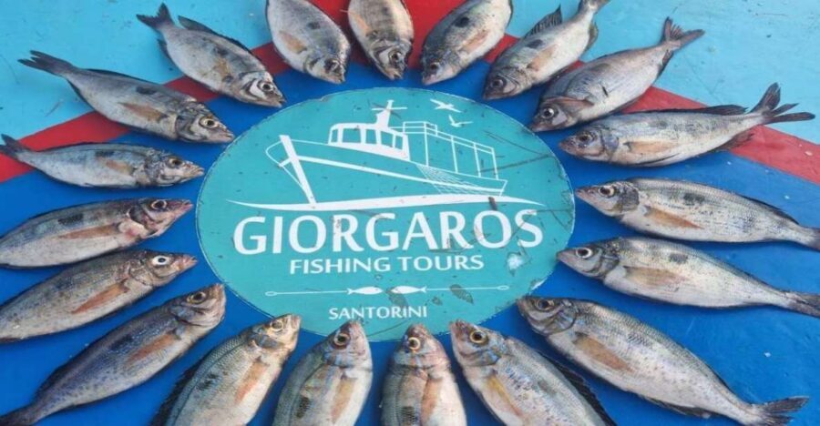 Santorini: Traditional Fishing Trip and Fresh Fish Lunch - Getting picked up by minivan, then stepping onto the real boat