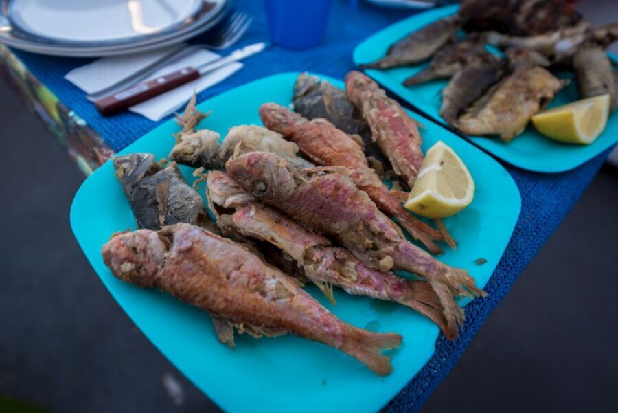 Santorini: Traditional Fishing Trip and Fresh Fish Lunch - Price and value: is $188 for 4 hours fair?