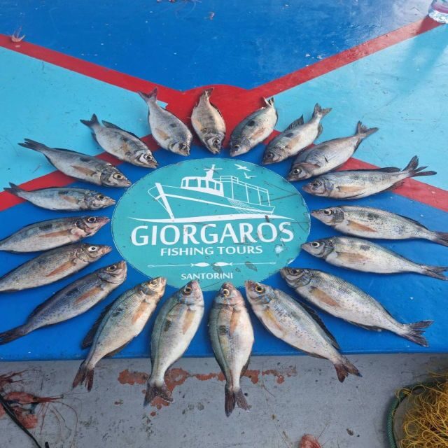 Santorini: Traditional Fishing Trip and Fresh Fish Lunch - Who should book this Santorini fishing trip