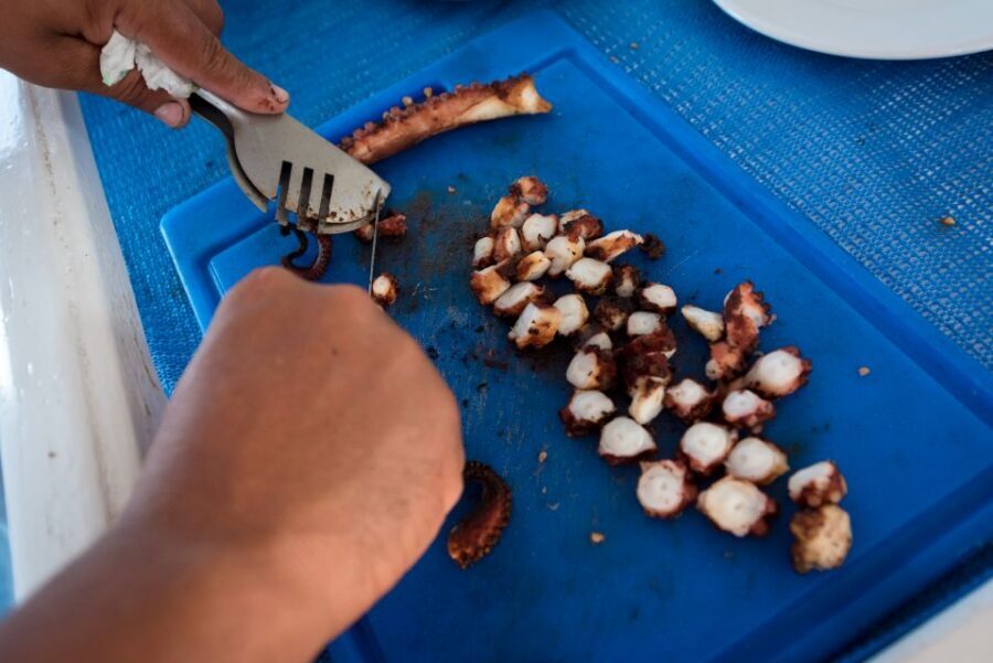 Santorini: Traditional Fishing Trip and Fresh Fish Lunch - Captain Anthi and crew: how you actually fish, not just watch