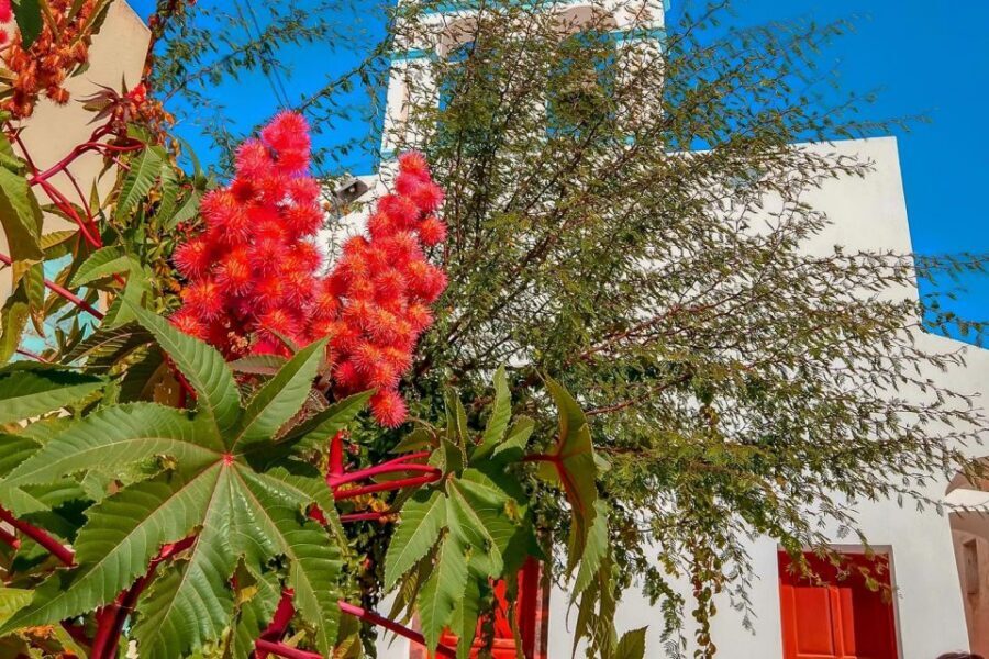 Santorini: Traditional Sightseeing Bus Tour with Oia Sunset - Emporio Village: Windmills, Stone, and a Slower Pace