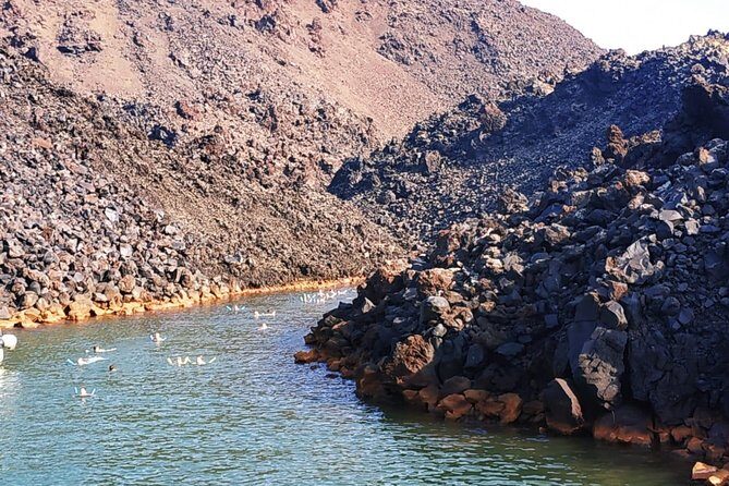 Santorini Volcanic Islands Cruise: Volcano, Hot Springs and Thirassia - Stop 4: Thirassia and Manolas village (stairs or donkey)