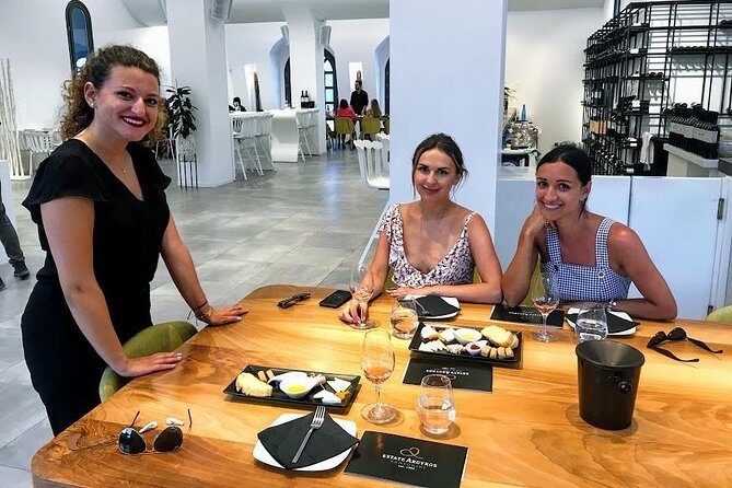 Santorini Wine and Food Experience with pick up included - Artemis Karamolegos: Assyrtiko focus and serious old-vine context