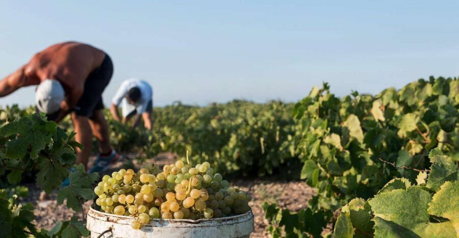 Santorini Wine Roads: Tour of 3 Wineries with a Sommelier - The views and the drive: how the island scenery fits in