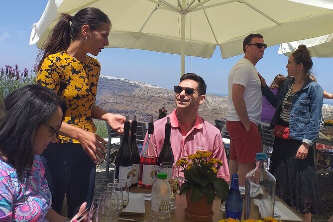 Santorini Wine Secrets - A Santorini wine day designed to avoid the crush