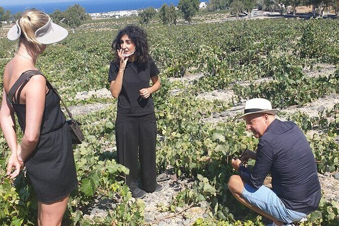 Santorini Wine Secrets - Stop 3: Venetsanos in Megalochori and the sunset-style finish