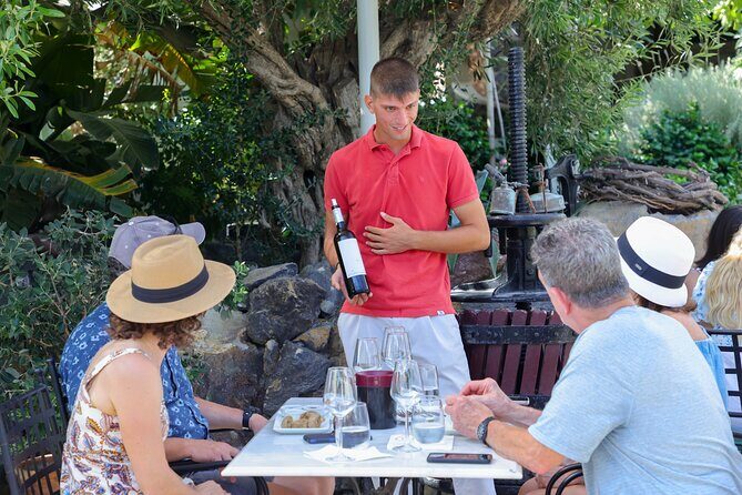 Santorini Wine Stories: Daytime Tour with Tasting & Lunch - Volcanic wine on Santorini: what you’re really tasting