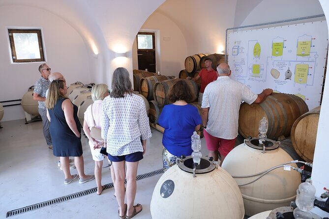 Santorini Wine Stories: Daytime Tour with Tasting & Lunch - Should you book Santorini Wine Stories?