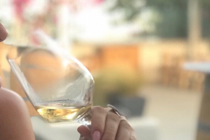 Santorini wine tasting and Traditional Cave Settlement Tour - Key Points Worth Your Time