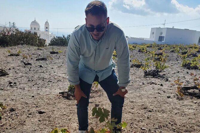 Santorini Wine Tasting: Day or Sunset Private Tour - Stop 2 at Gavalas Winery: Cellars, Winemaking to Maturation, and the Cheese + Rusks Pairing