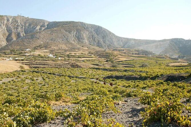 Santorini Wine Tasting: Day or Sunset Private Tour - Stop 3 at Santo Wines (or Venetsanos): Cliffside Views and the Final Tastings