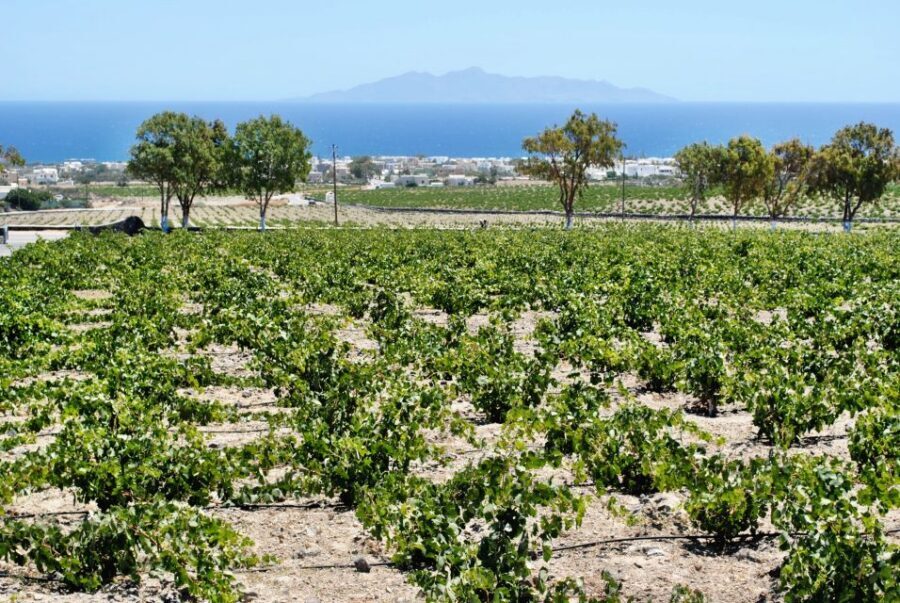 Santorini: Wine Tasting Tour & Sunset Viewing - Pickup in Thera and the value of small-group comfort