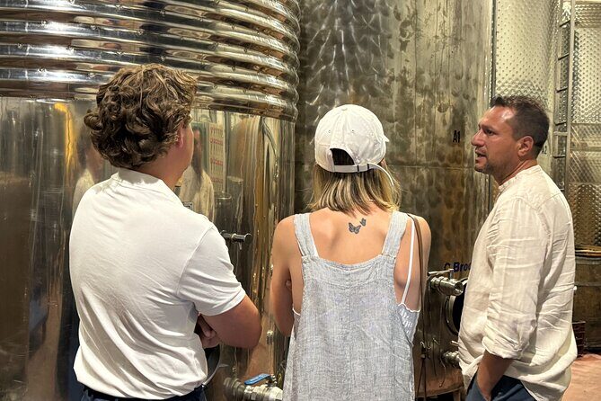 Santorini Wine Tour: 2 Wineries with Tastings & Local Snacks - The 3-hour timing: short on time, not short on content