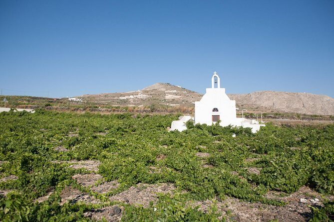 Santorini Wine Tour: Taste 12 best wines & 3 beers with pairings - Art Space: wine tasting in a cave-like art setting