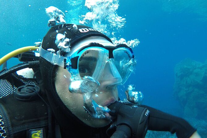 Scuba Diving Experience in Santorini - The Volcanic Reef Setting: What You’ll Actually See Underwater