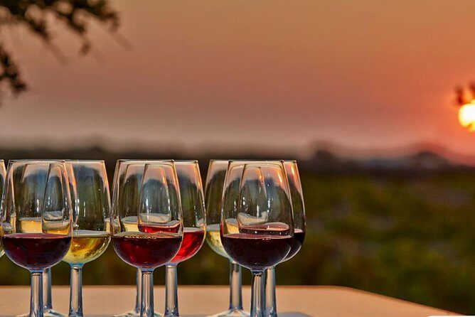 Semi - Private wine tour - Through the grapevine - Pickup Windows, Cruise Ship Limits, and Getting Around Without Stress