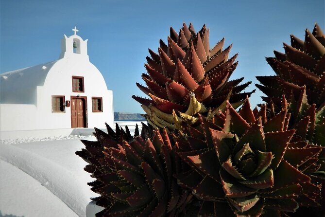 Stress-Free Santorini Shore Excursion: Private Highlights Tour - Cable Car, Tender Boats, and Getting Back on Time