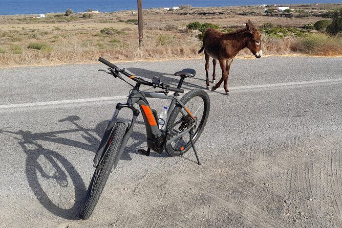 Thirassia 5-Hour eBike Tour with Lunch from Santorini - Tour Comfort and Practicalities: Fitness Level, Height, and Group Size
