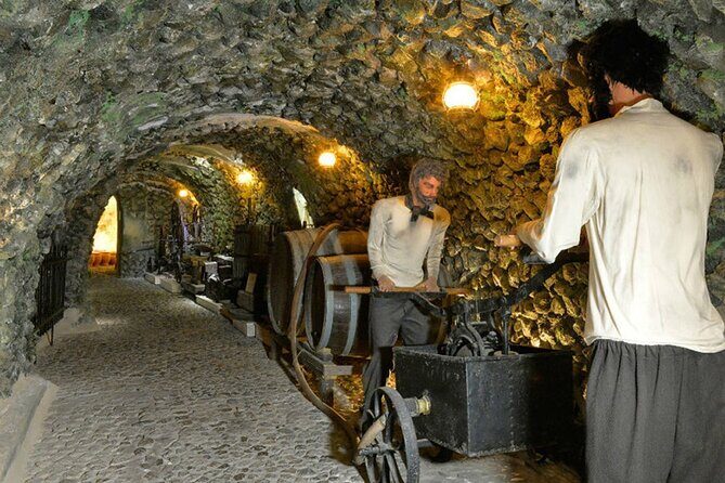Visit to a Wine Museum and Wine Tasting in Santorini - Volcan Wines tasting: 3–4 styles and real taste education
