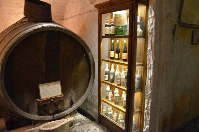 Visit to a Wine Museum and Wine Tasting in Santorini - Transfers, timing, and meeting points: where trips usually succeed or wobble